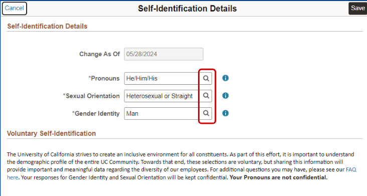 Identify the magnifying glass to the right of the Pronouns field.